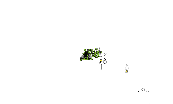 a glitch auto
