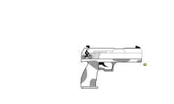 Camouflage Handgun