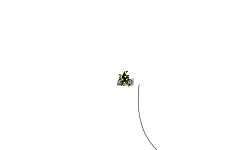 Bounce