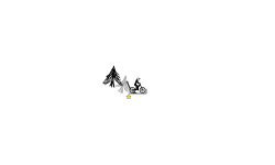 Woods