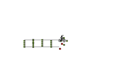 Birthday Auto (Hit Shift)