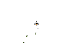 helicabopter auto :)