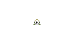 Weird Content for My Subs
