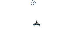 AIR AUTO