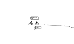 race