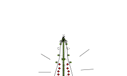 Lava Lamp