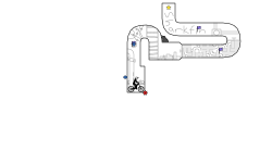 Detailed Trial