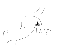 Faces