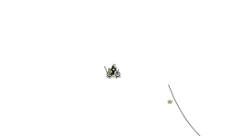 Skill Test