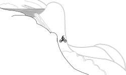 Very-well detailed wheelie