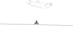 shark