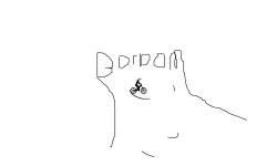 BORDOM