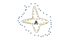 shining star
