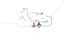 Medium Trial