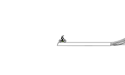 WCG 100 Jumps Preview