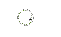 WEIRD BLOB STUFF