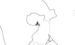 SKY JUMPS FAST VERSION