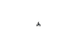 Fly
