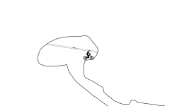 Endless Caverns I