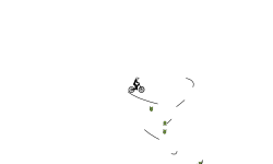 Wheelie