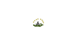 A only Green Auto