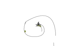 Big Loop Auto