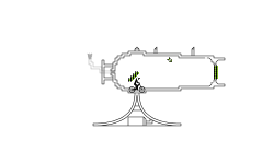 Human Cannon