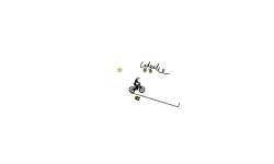 Wheelie