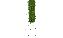 Weeeeeeee