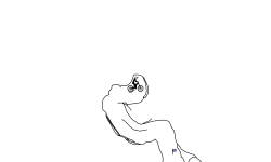 The Winding Cave