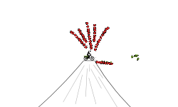 The Volcano
