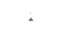 auto (SHORT)