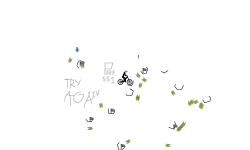 harvz TRy AgAiN
