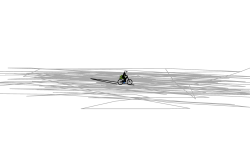 Zoom Out