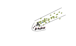 Spin in circles