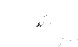brush