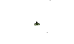 Long Auto #1