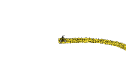 1000Stars