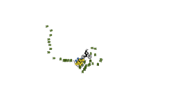 hihi