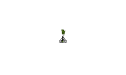 gravity