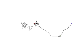 XP Challenge #20