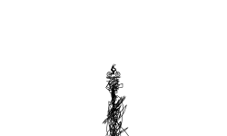 line (trustfalll)