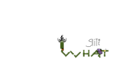 hold up glitch