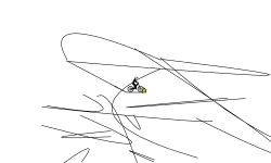 wow fast