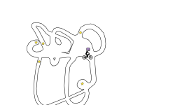 Blob playground