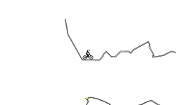 GNARLY CAVE RUN 1.0