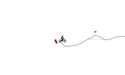 11 Second Challenge