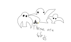 These are birds
