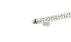 Cannon