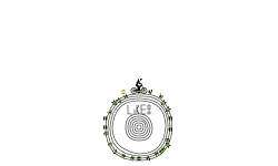 loop 4